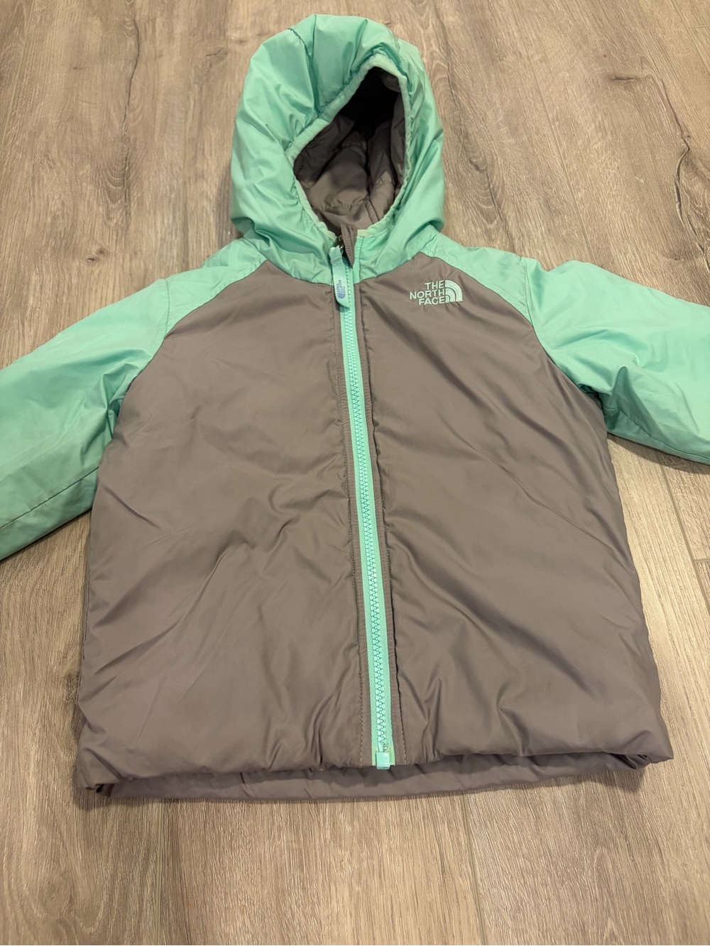 The North Face Mint & Gray Kids Hooded Puffer Jacket